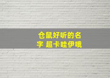 仓鼠好听的名字 超卡哇伊哦